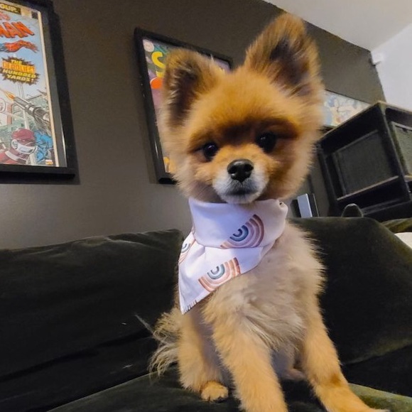 jadelee150